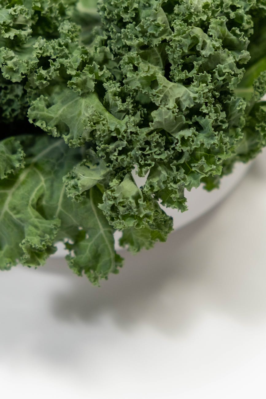 plantas medicinais anti-inflamatórias